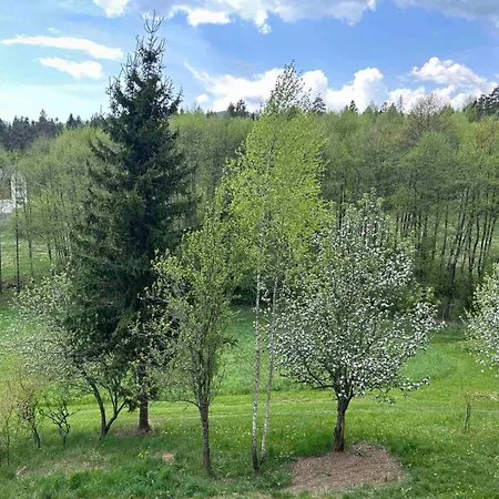 Bosorecka * Smizany
