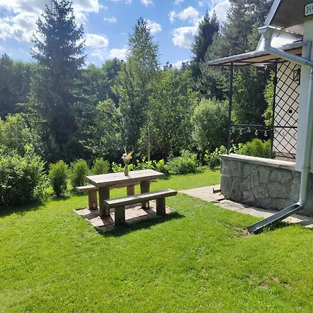 Bosorecka *